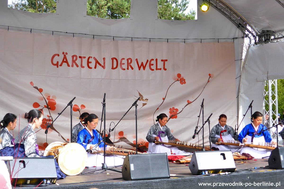 festiwal kwitnących wiśni w Berlinie