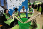 Coś drewnianego z Turyngii Internationale Grüne Woche występy